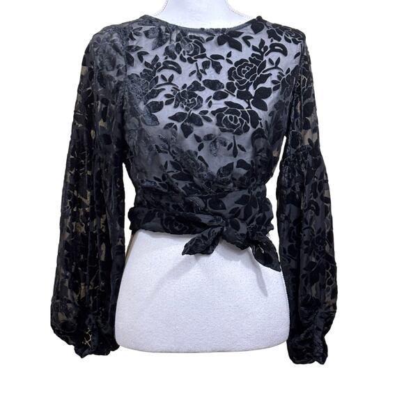 Lioness top, black velvet burnout, romantic, whimsigoth, statement, date night - Picture 1 of 7